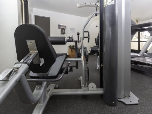 Workout Machines In Gym at Eucalyptus Grove Apartments, Chula Vista, CA, 91910